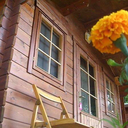 Onur Motel Faralya Exterior photo