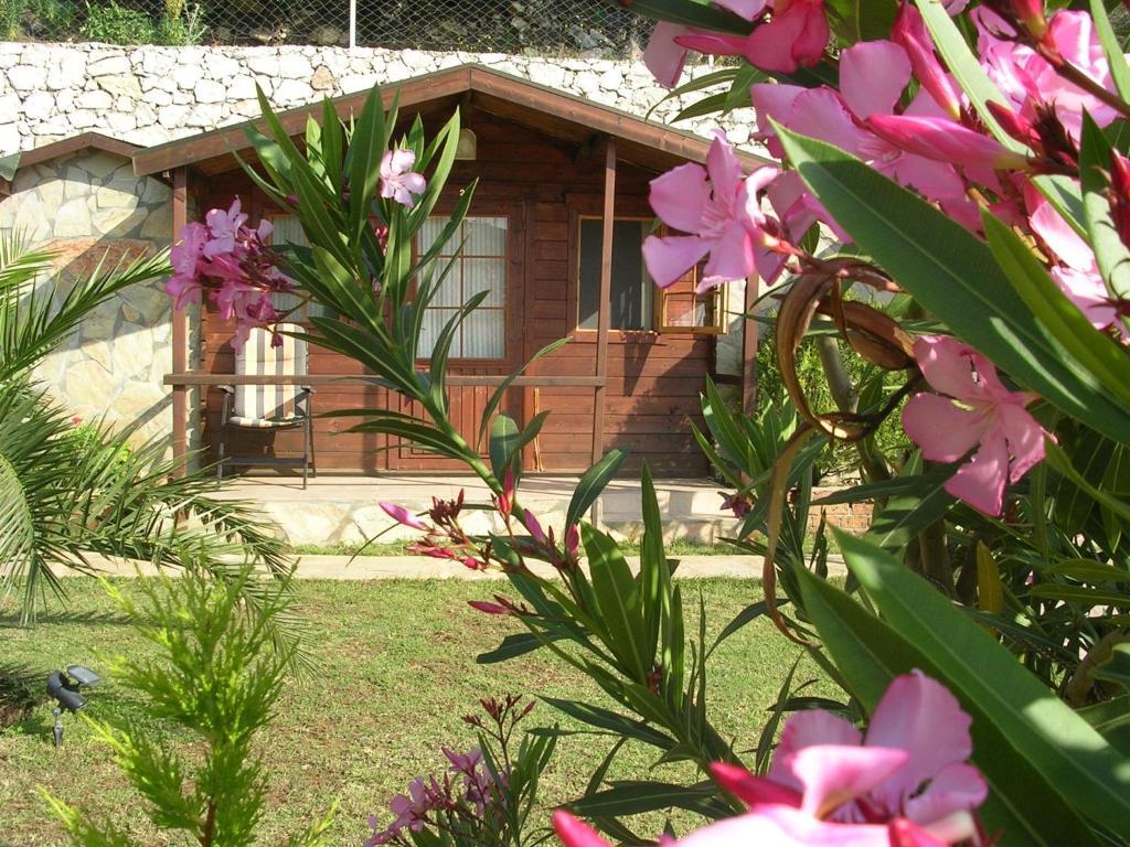 Onur Motel Faralya Exterior photo